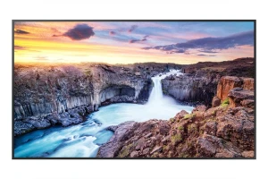 Samsung Monitor 50 cali QH50B LH50QHBEBGCXEN